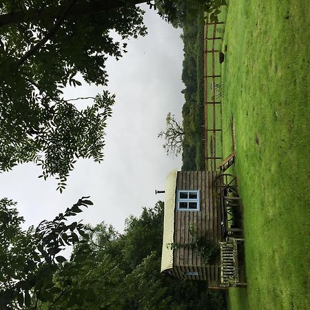 Vila Mollies Hut Frome Exteriér fotografie