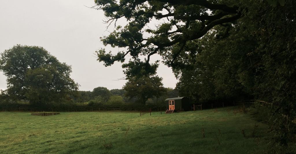Vila Mollies Hut Frome Exteriér fotografie