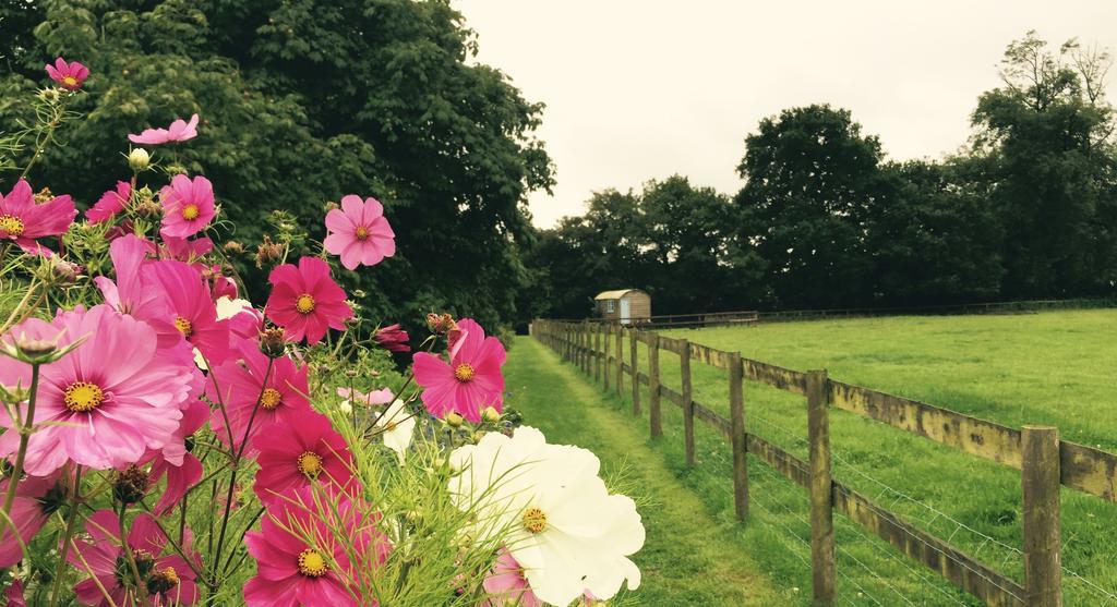 Vila Mollies Hut Frome Exteriér fotografie